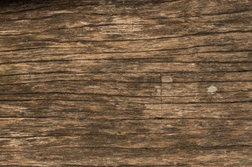 wood texture surface