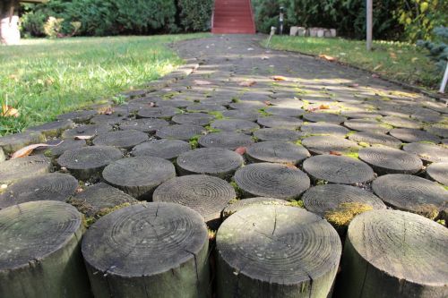 wood path moss