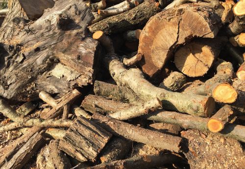 wood firewood log