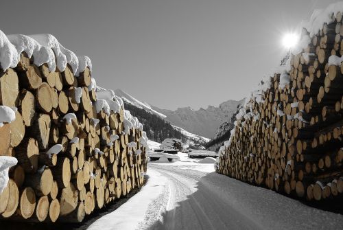wood snow samnaun