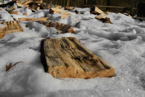 wood log snow