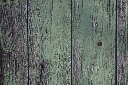 wood door texture