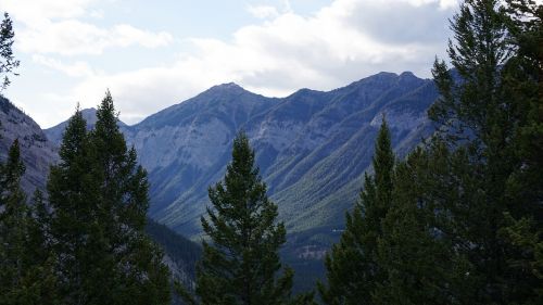 wood mountain canada