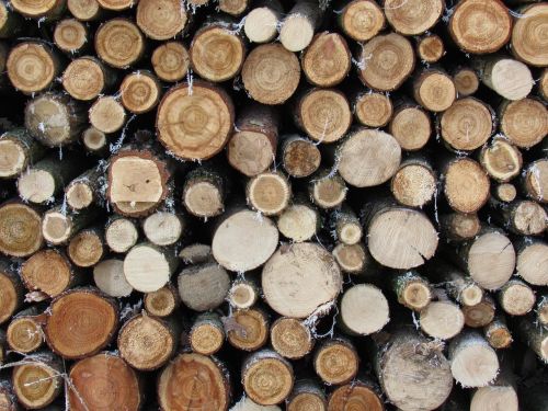 wood annual rings pile of wood