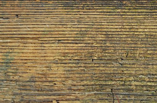wood board texture