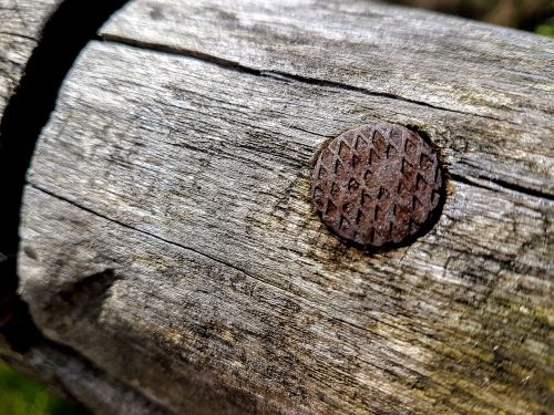 wood nail rusty