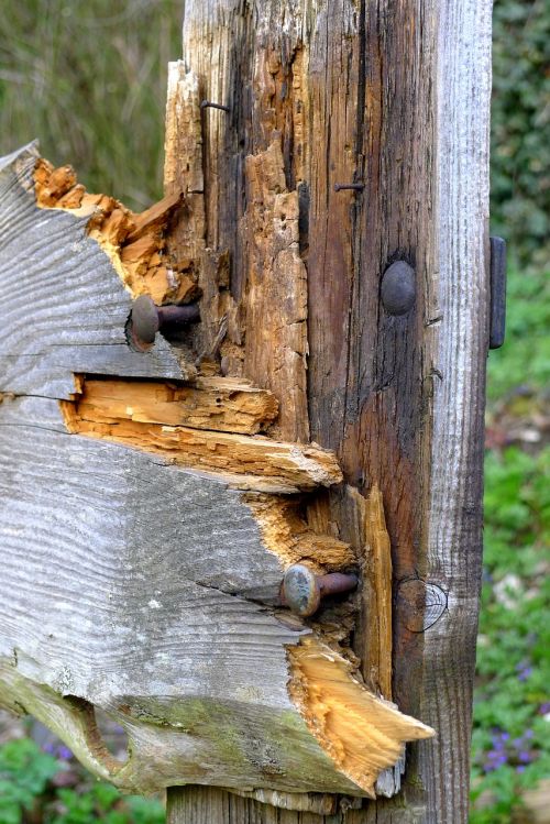 wood fence nails