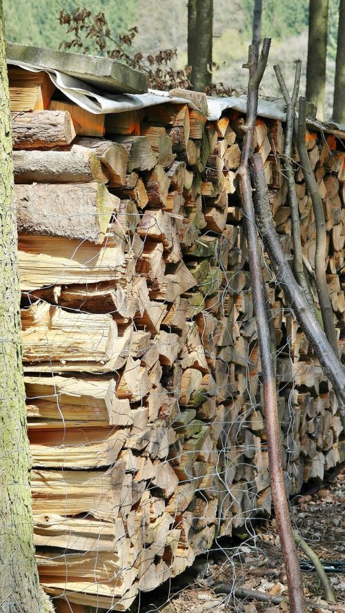 wood holzstapel tree trunks