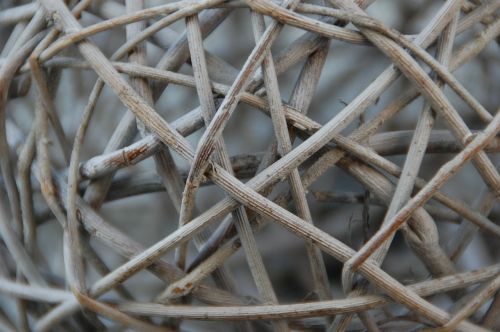 wood branches braid