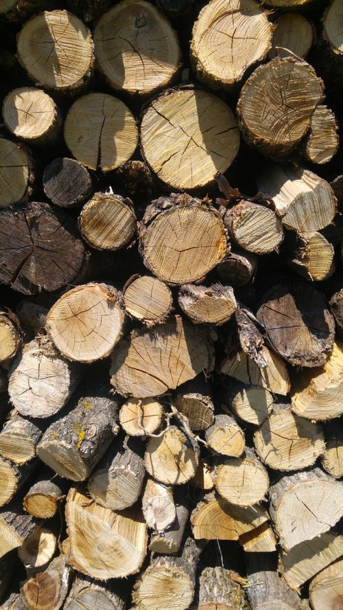 wood fire pile