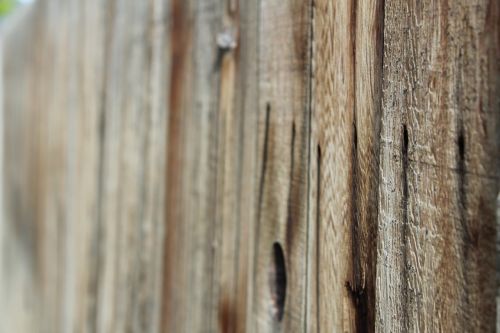 wood fence background