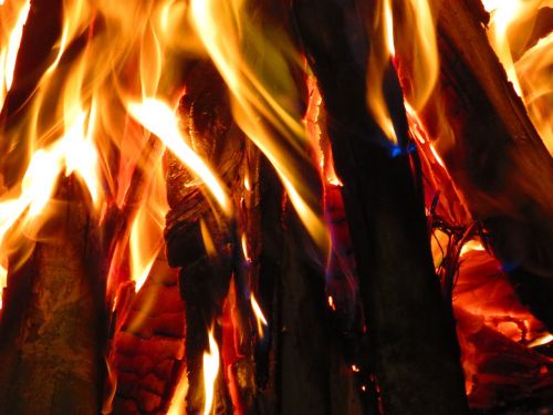 wood fire campfire