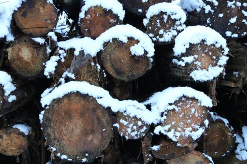wood holzstapel winter