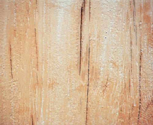 wood texture wooden