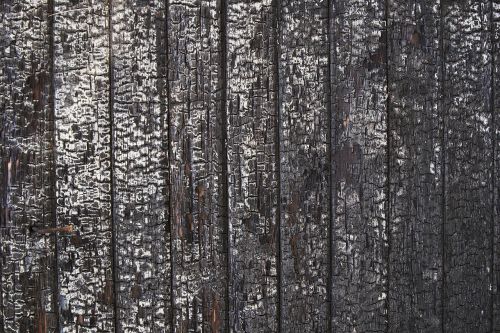 wood burnt texture