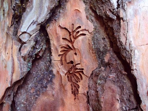 wood wood carving nature