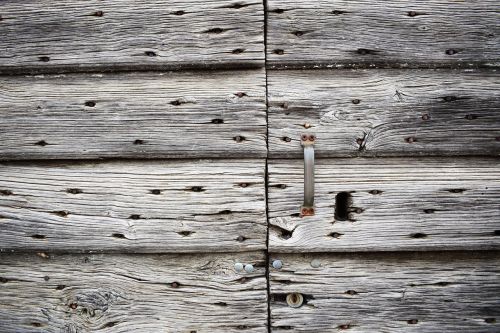 wood wooden wall