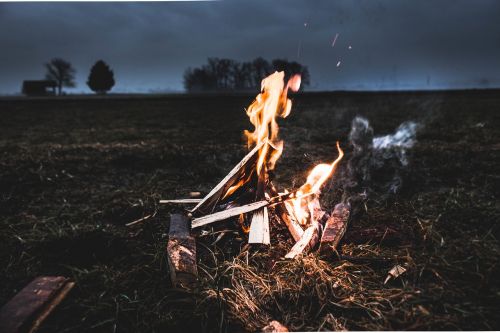 wood bonfire campfire