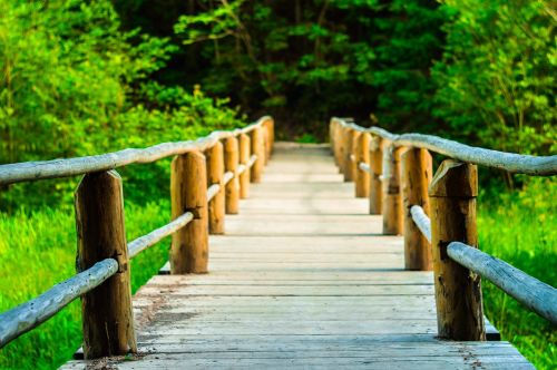 wood pathway green