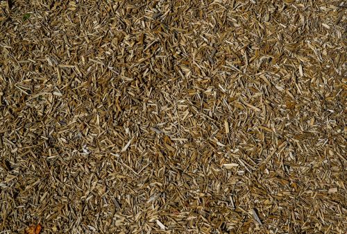 wood chips wooden