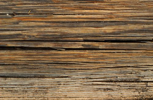 wood texture background