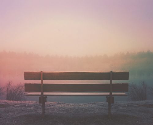 wood bench outdoors