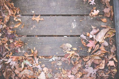 wood deck leaves