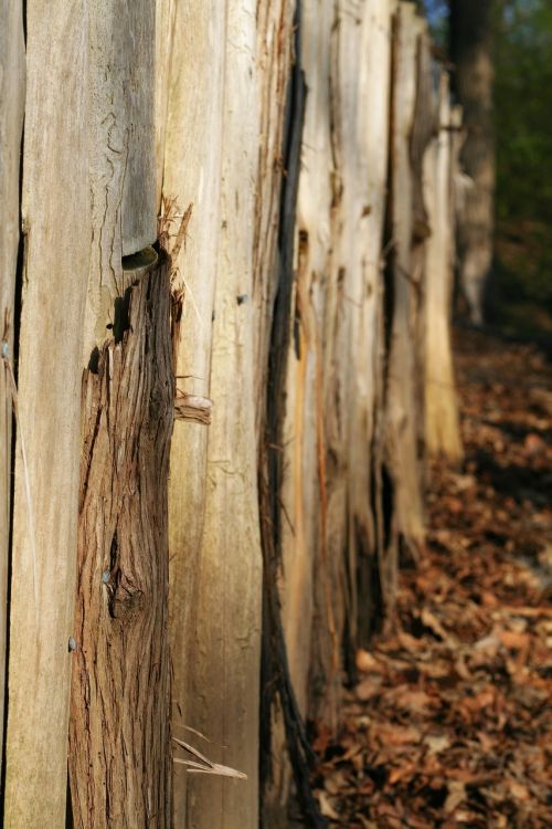 wood fence texture