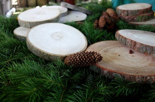 wood pine cone cones