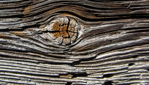 wood plank old
