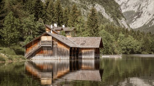 wood nature waters