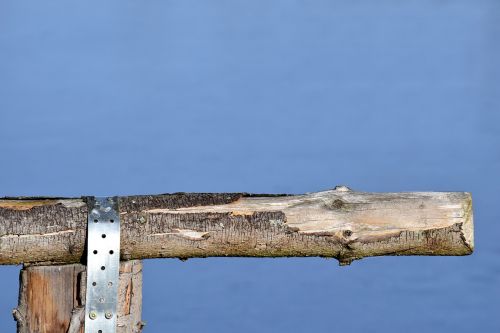 wood fence branch