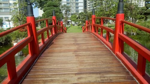 wood nature bridge