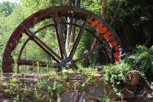 wood wheel nature