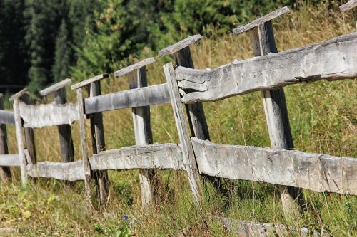 wood fence nature