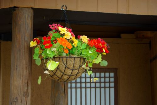 wood flowers home