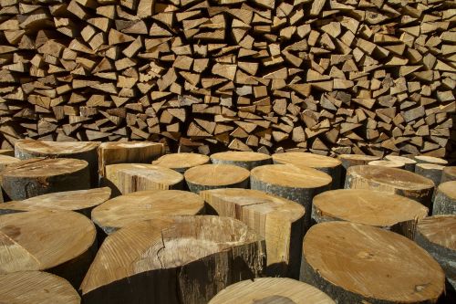 wood holzstapel growing stock