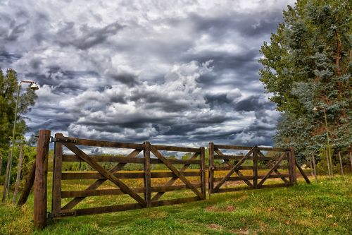 wood nature outdoors