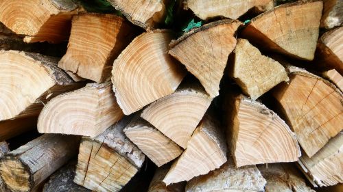 wood log tear down