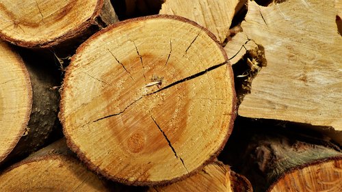 wood  log  tear down