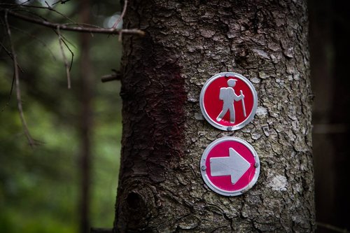 wood  tree  sign