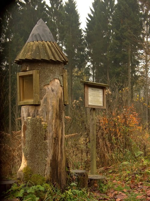 wood  house  tree