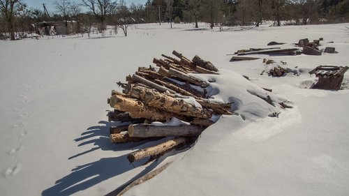 wood  pile  snow