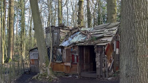 wood  tree  house