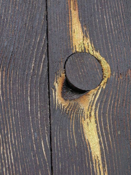 wood knot detail