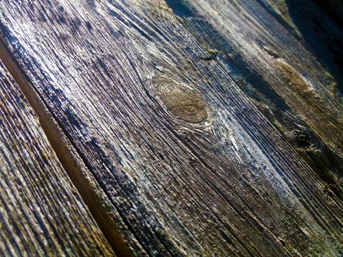 wood  fiber  dry