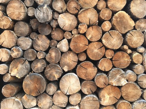 wood  logs  stack