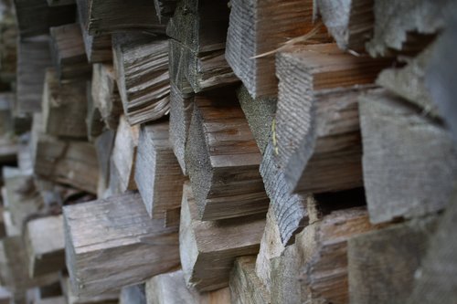 wood  firewood  tree trunks