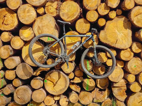 wood  forest  bike