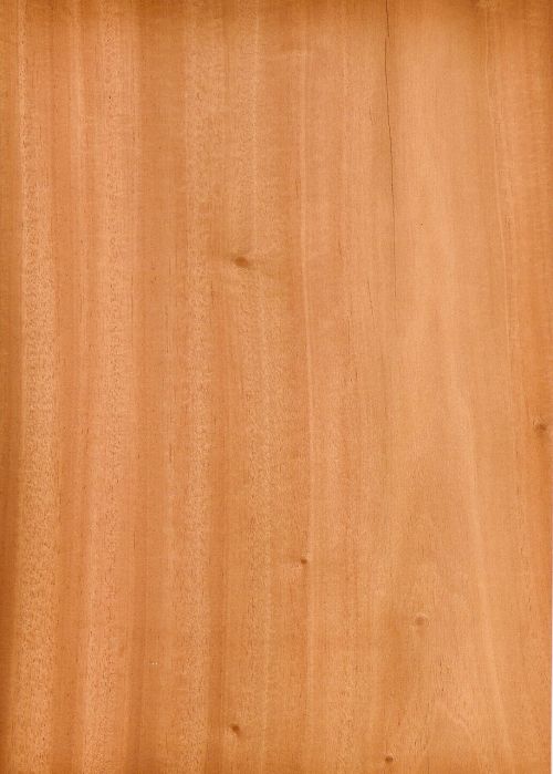 wood mahogany texture